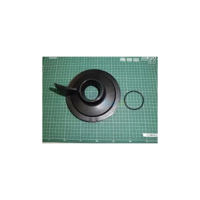 Difuzor pompa pentru piscina Victoria AstralPool 4405010116