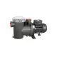 Pompa filtrare apa piscina 29 mc/h la 10 mca, 2.2 kW, SACI Winner TWT9994 (300M) – imaginea 1