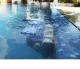 Robot automat curatare piscina, pentru podea, pereti si linia apei, wi-fi + telecomanda, 18 m cablu, lungime piscina max 15 m, M500 - Dolphin Maytronics M500 – imaginea 5